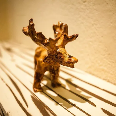بيت شباب Hart & Art Gallery
