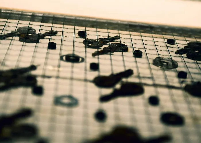 Hart & Art Gallery Hostel Wroclaw